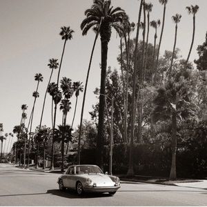 Meet your Posher, Sydney